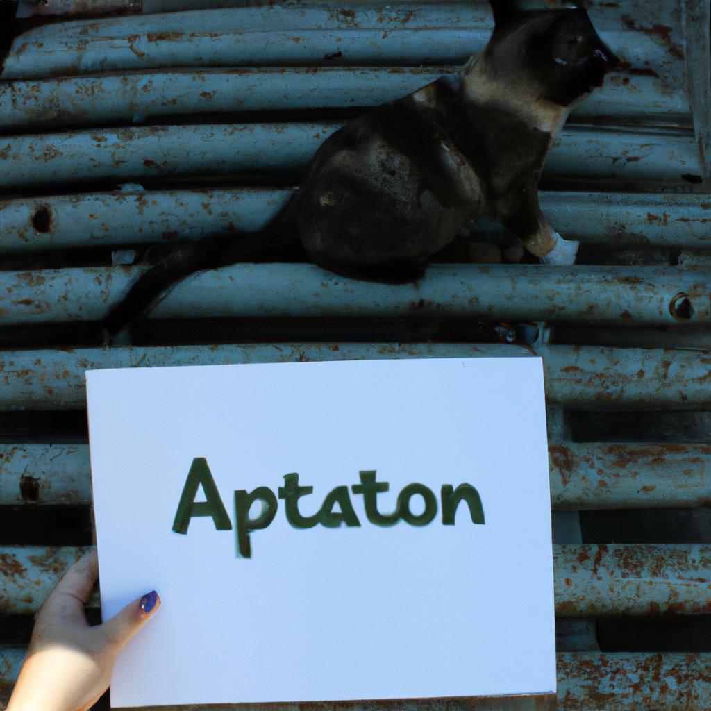 Person holding cat adoption sign