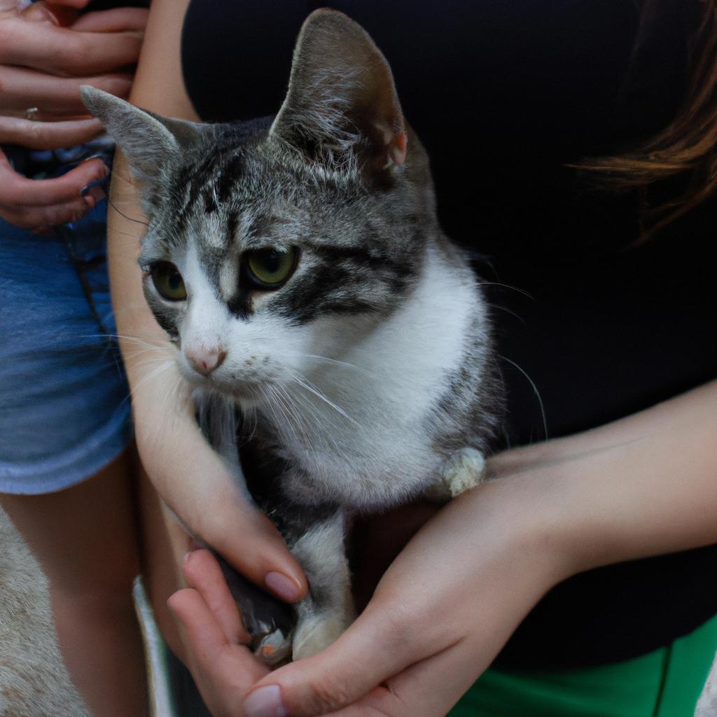 Person holding a rescued cat